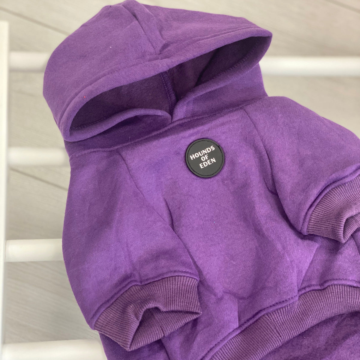 Purple Dog Hoodie