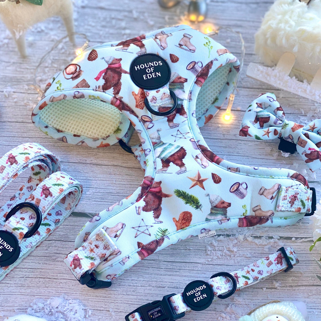 Teddy it's Cold Outside Dog Harness