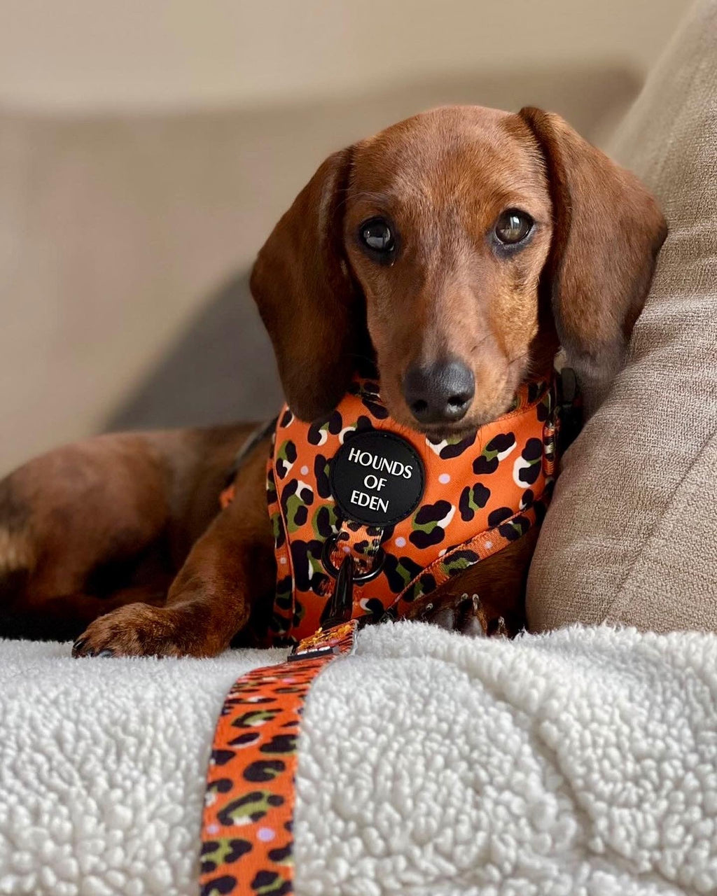 Burnt Orange Leopard Design Dog Lead