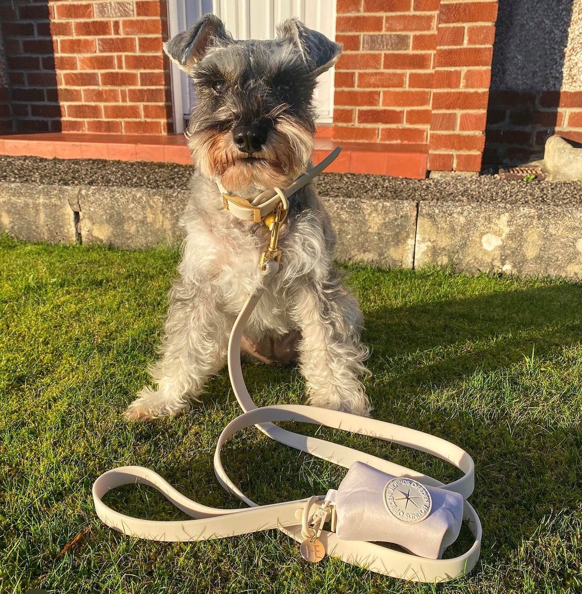 Oatmeal Latte 'All Weather' Dog Lead