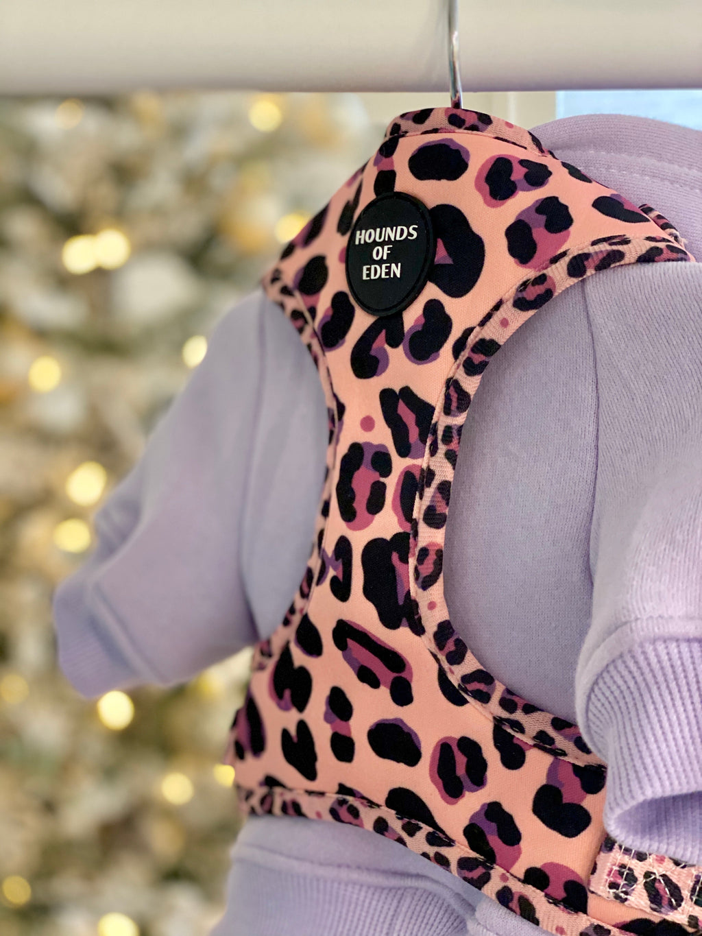 Lilac Dog Hoodie