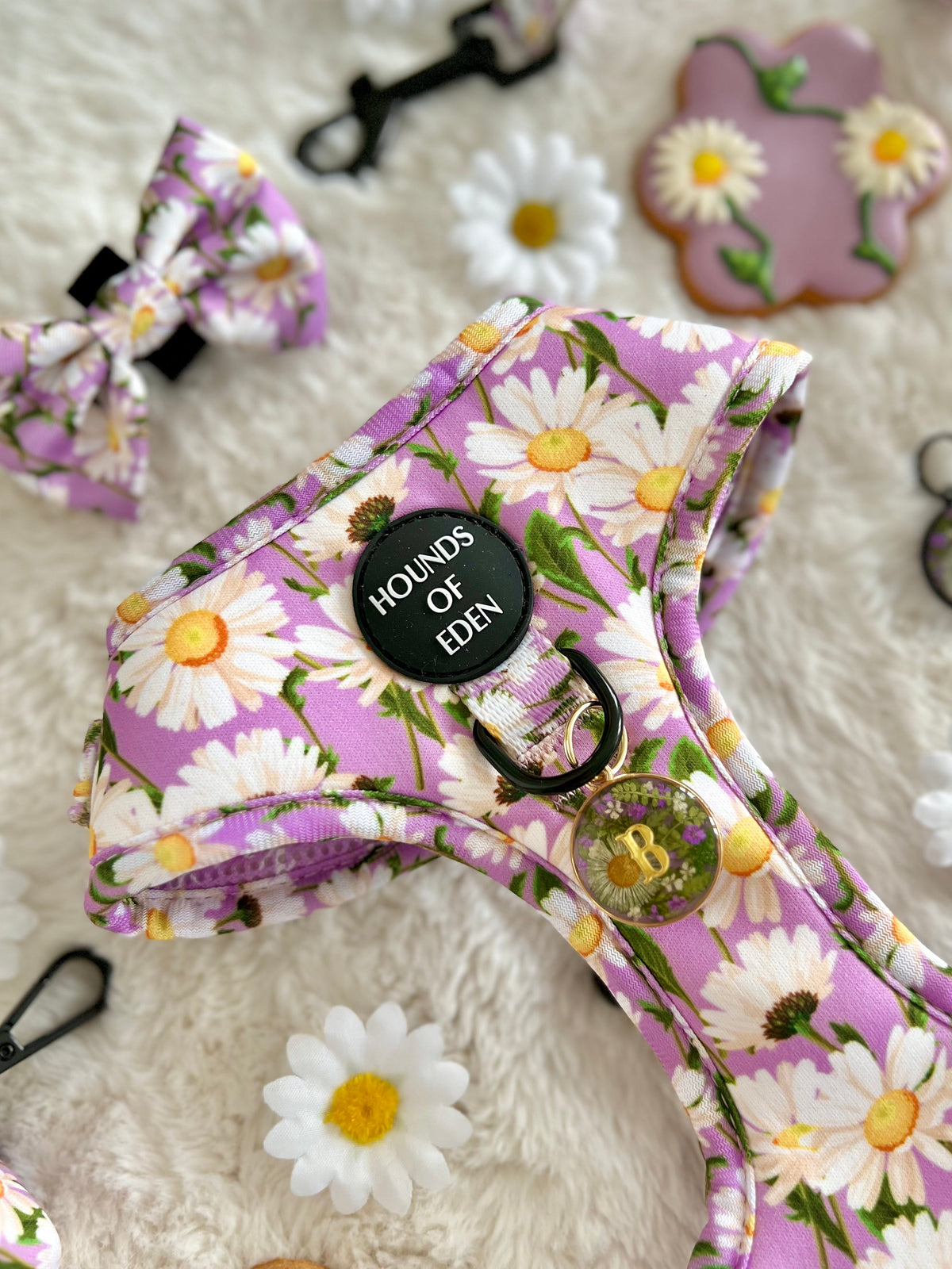 Daisy Dreams Design Dog Harness