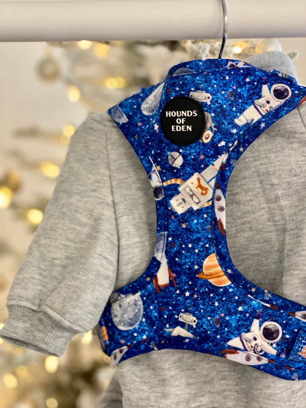Grey Fleece-Lined Dog Hoodie | Hounds of Eden