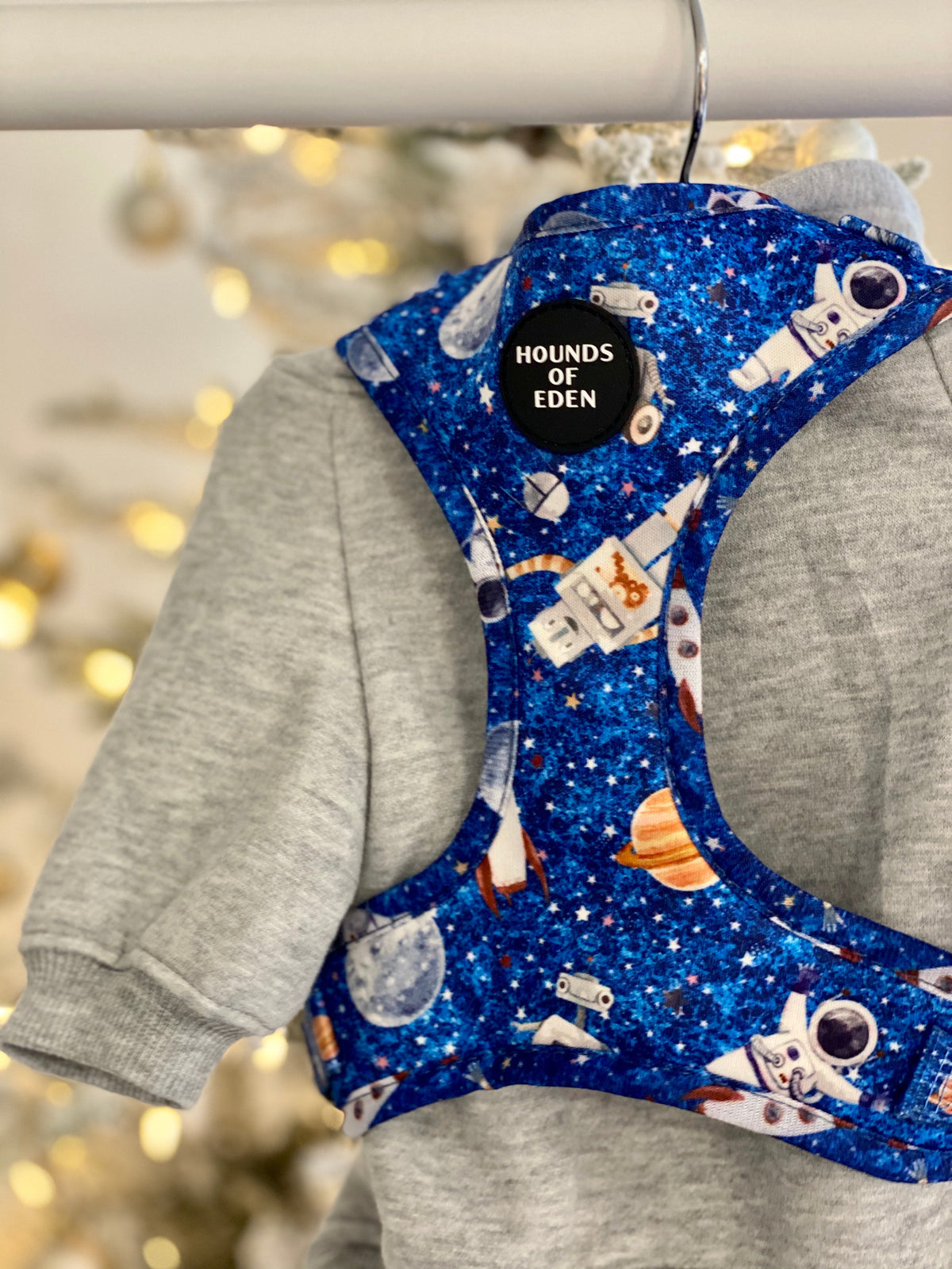 Grey Fleece-Lined Dog Hoodie | Hounds of Eden