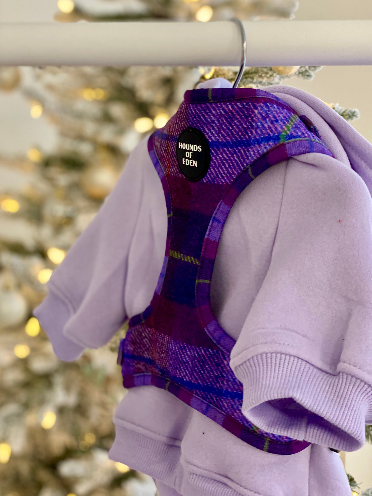 Lilac Dog Hoodie