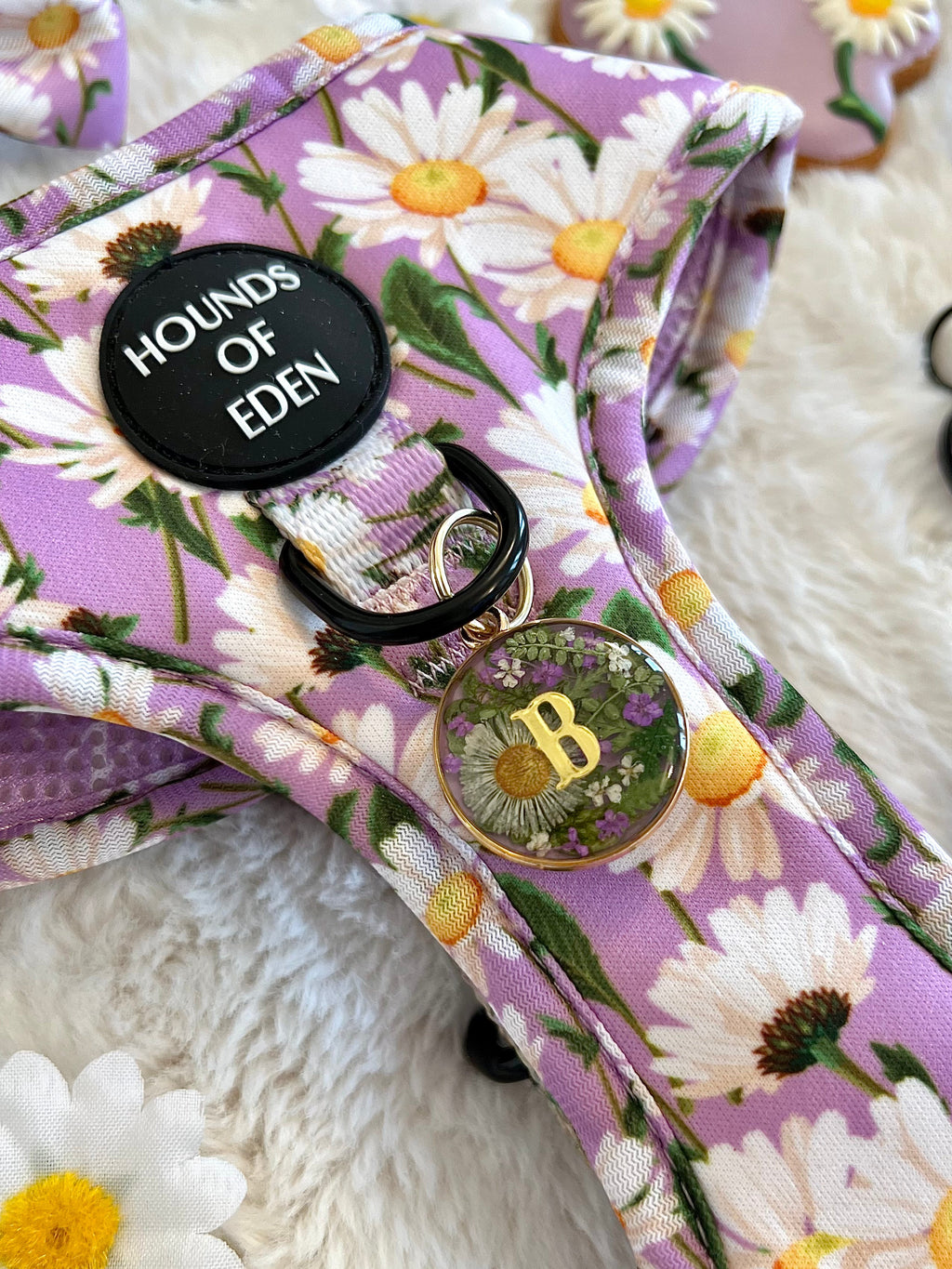 Daisy Dreams Design Dog Harness