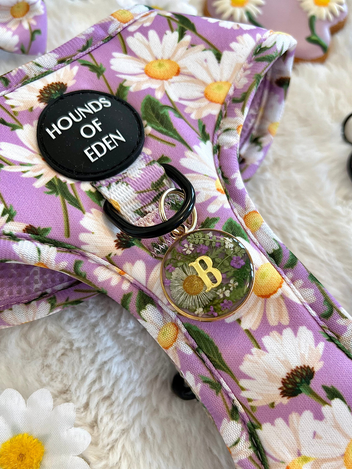 Daisy Dreams Design Dog Harness