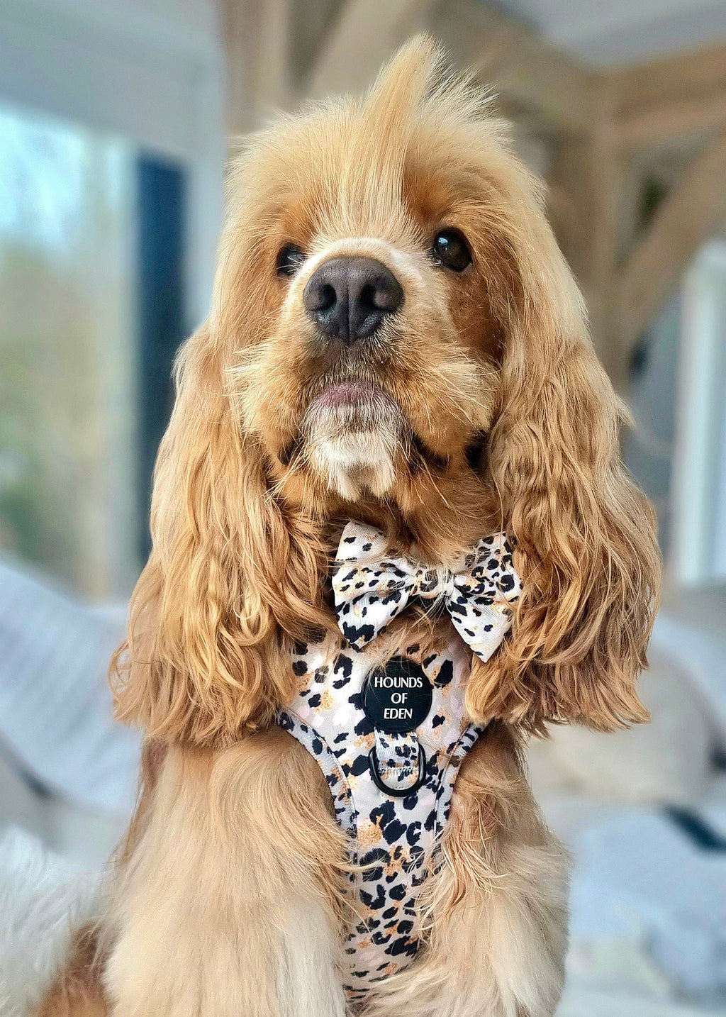 Sage Leopard Design Dog Bow Tie