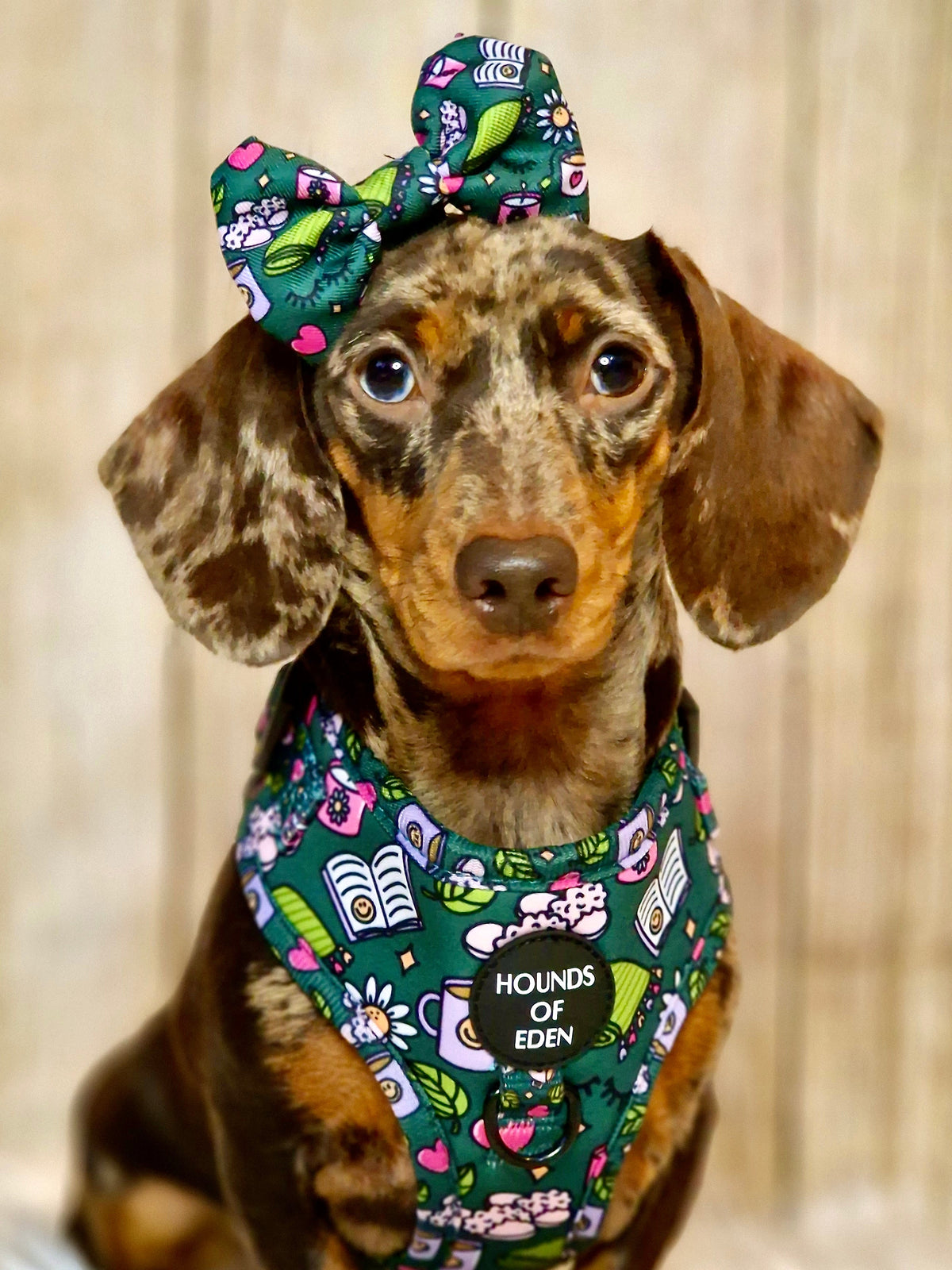 Self Care Design Dog Harness