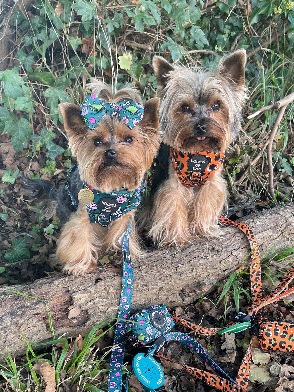 Burnt Orange Leopard Design Dog Collar