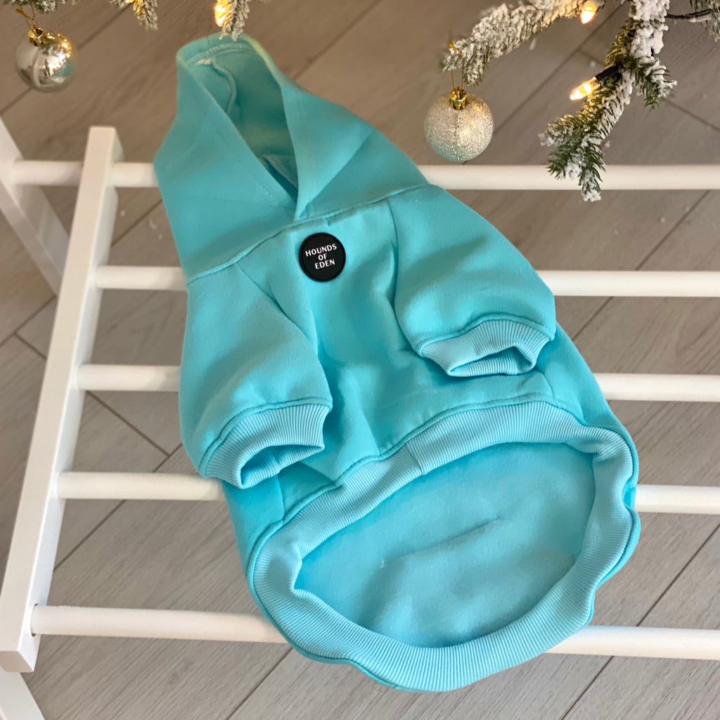 Light Teal Dog Hoodie with Fleece Lining
