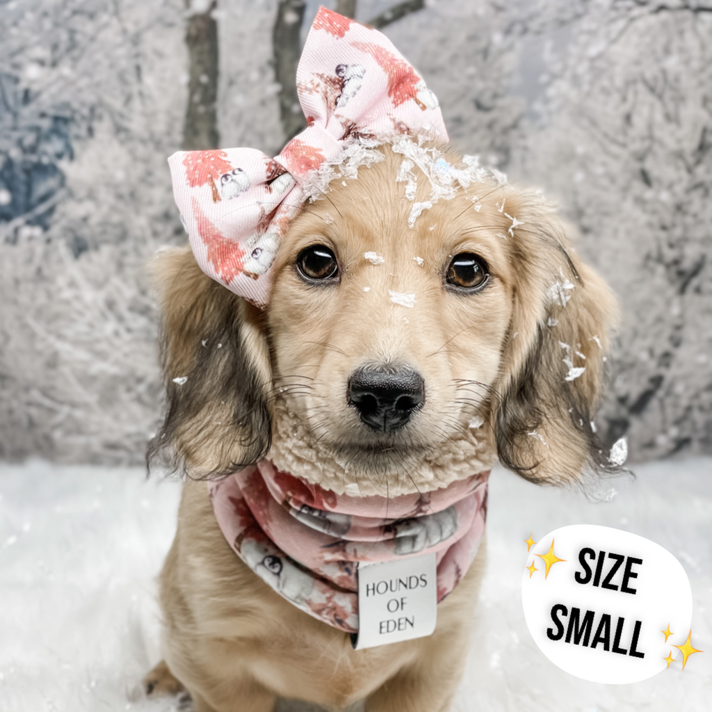 Arctic Wonderland Reversible Dog Snood