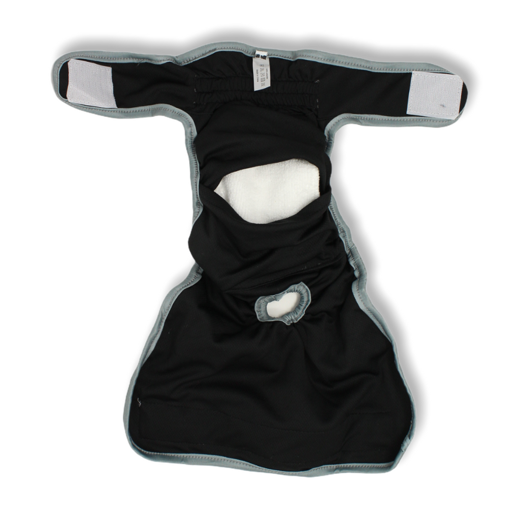 'Steel Leopard' - Dog Season Hygiene Panties