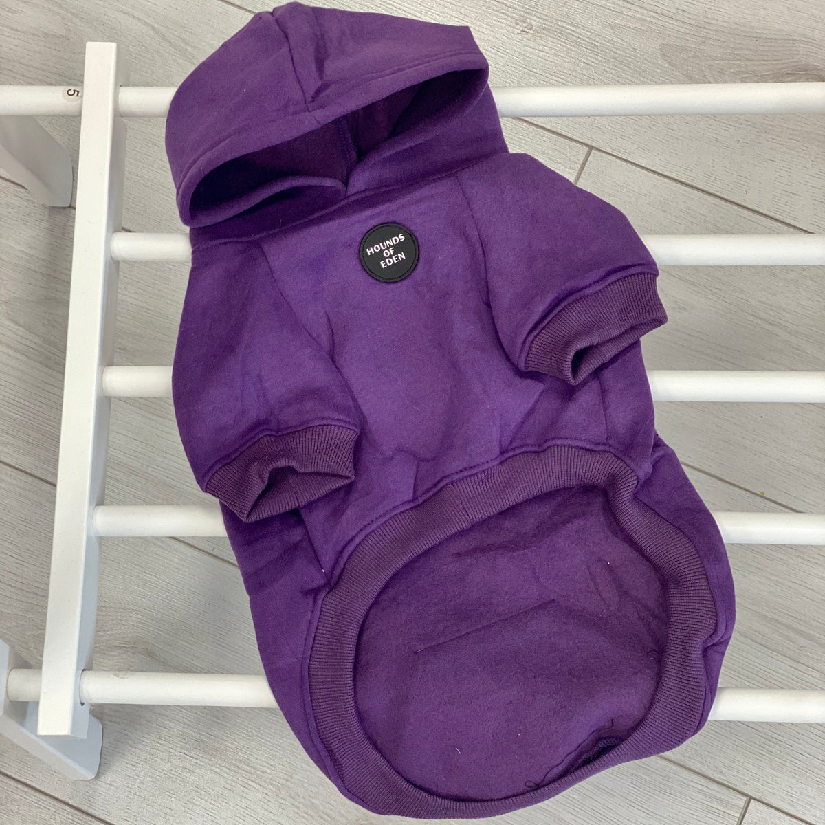 Purple Dog Hoodie