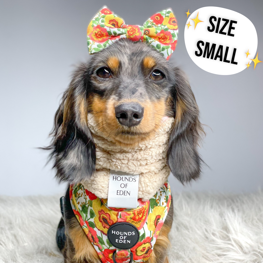 Autumn Blossom Reversible Dog Snood