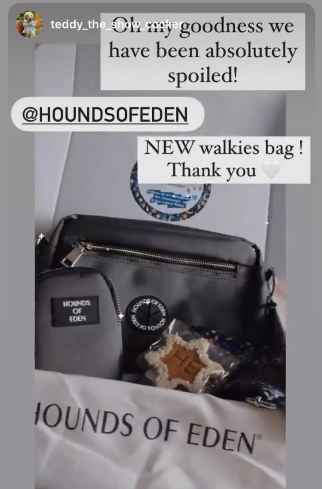 Grey Dog Walking Bag | Bag Only