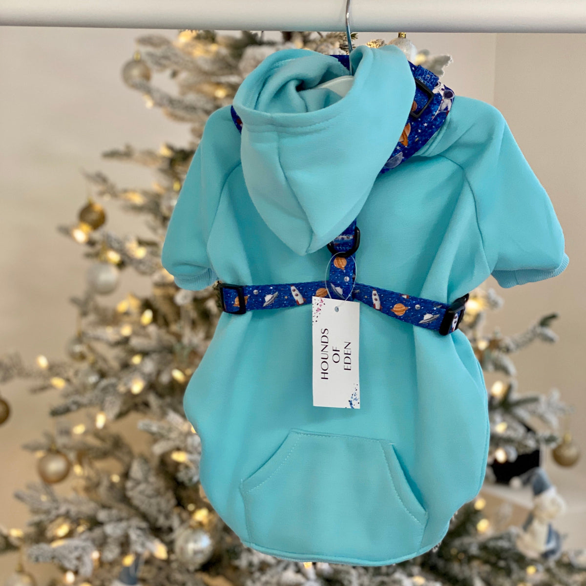 Light Teal Dog Hoodie with Fleece Lining