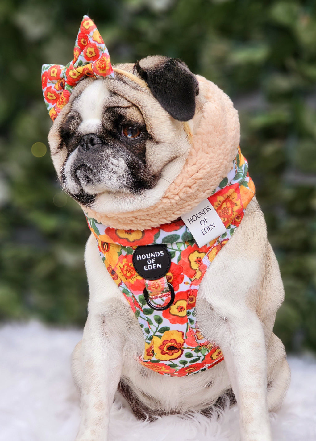 Autumn Blossom Reversible Dog Snood