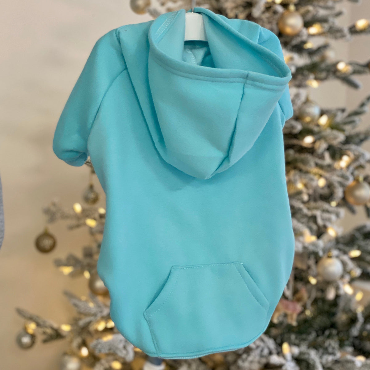 Light Teal Dog Hoodie with Fleece Lining