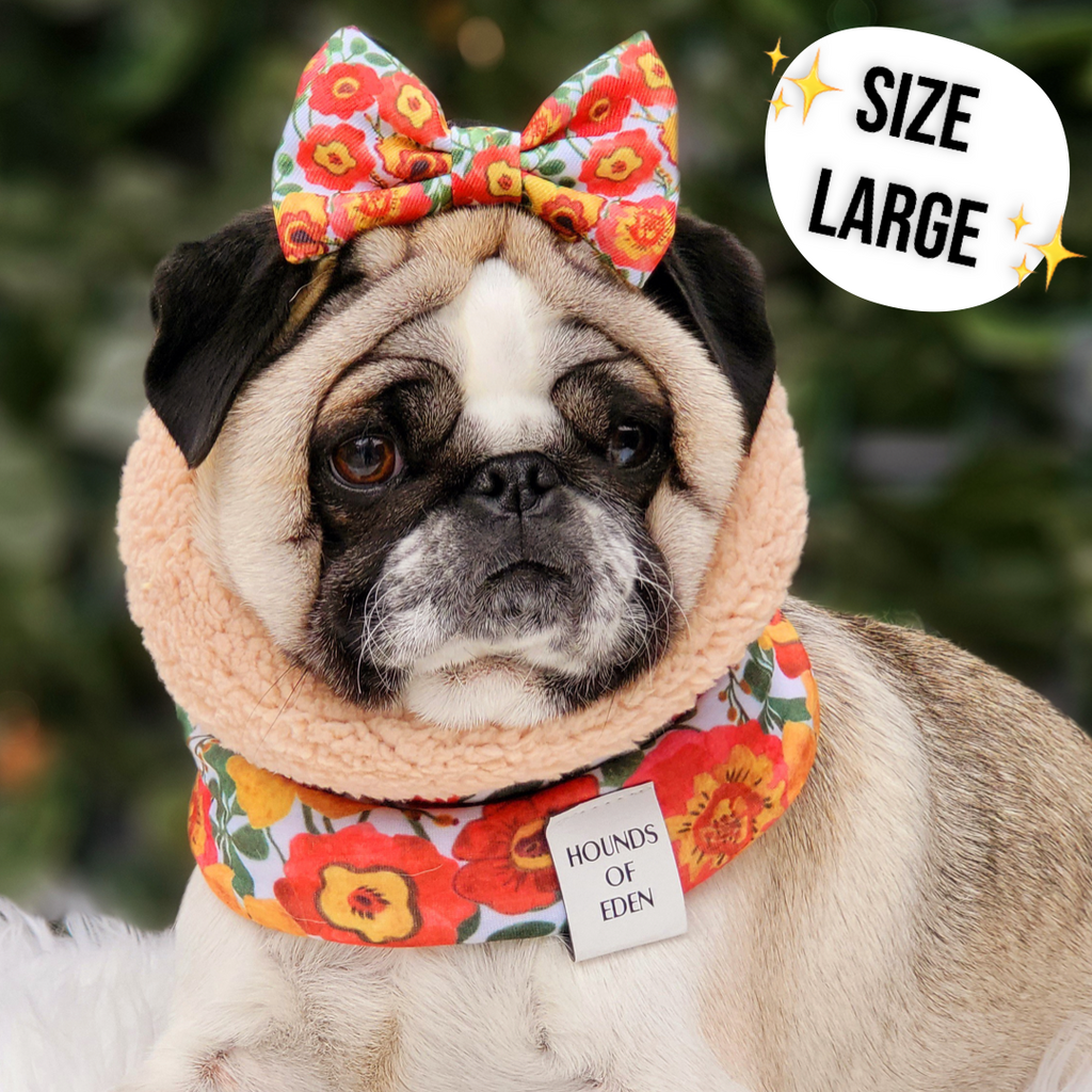 Autumn Blossom Reversible Dog Snood