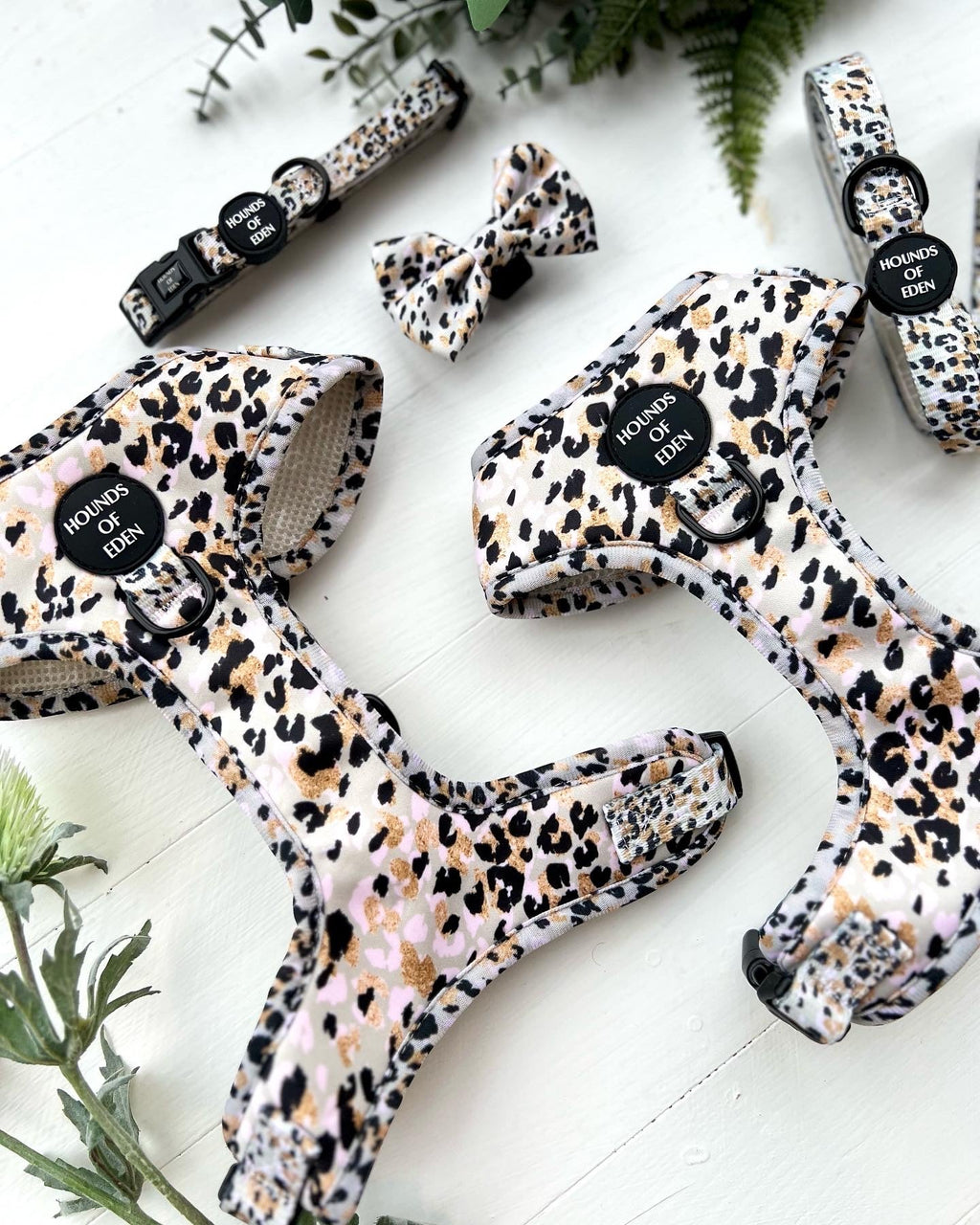 Sage Leopard Design Dog Collar