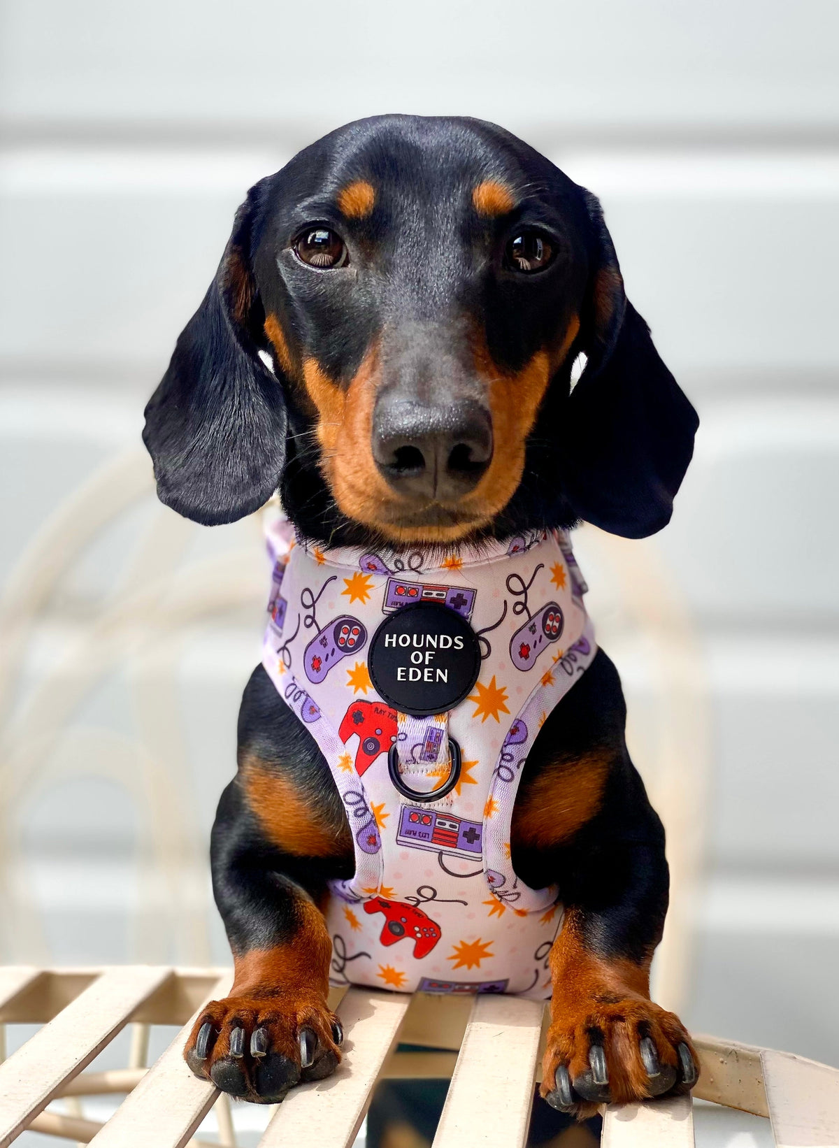 Nintendawg Design Dog Collar