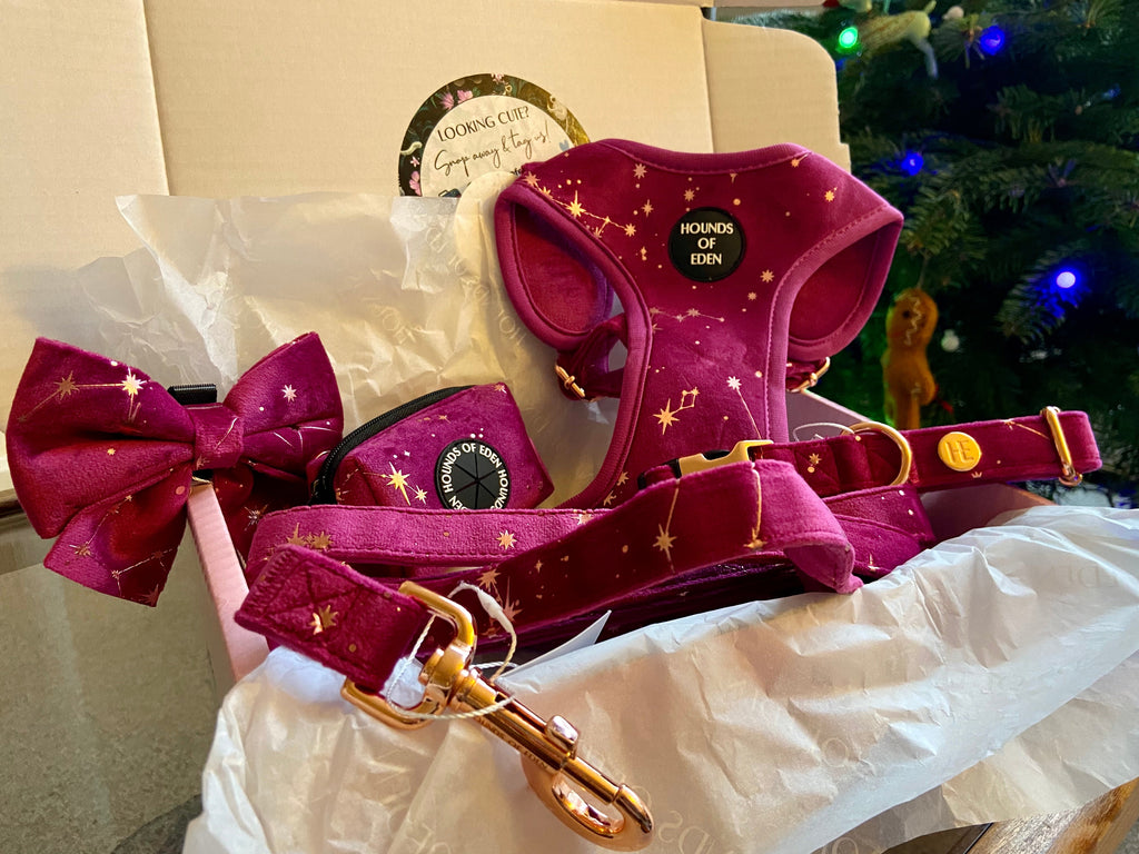 Magenta Sky Velvet Harness