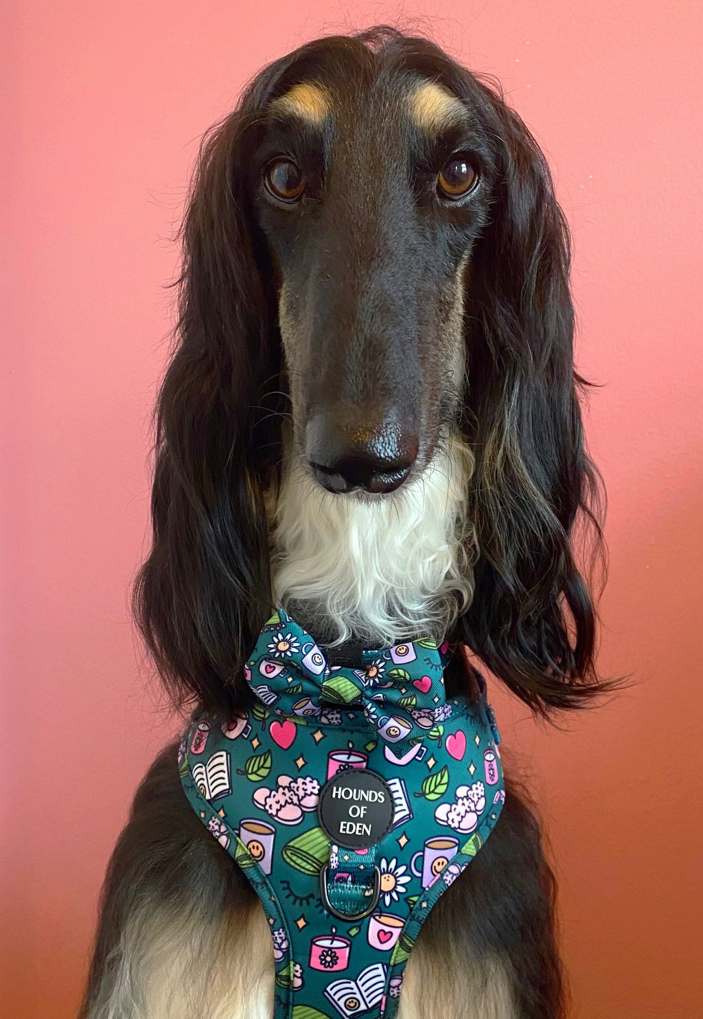 Self Care Design Dog Harness
