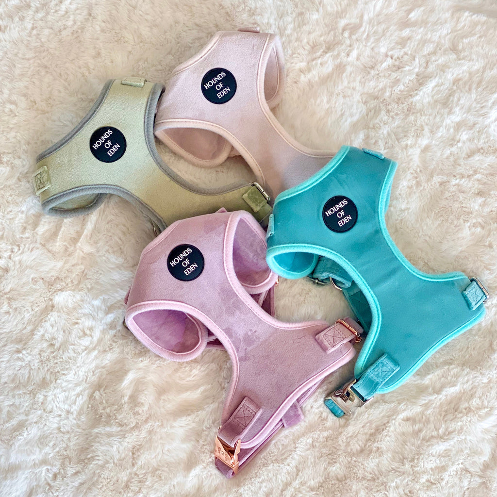 Lilac Dreams Velvet Dog Harness with Rose-Gold Hardware