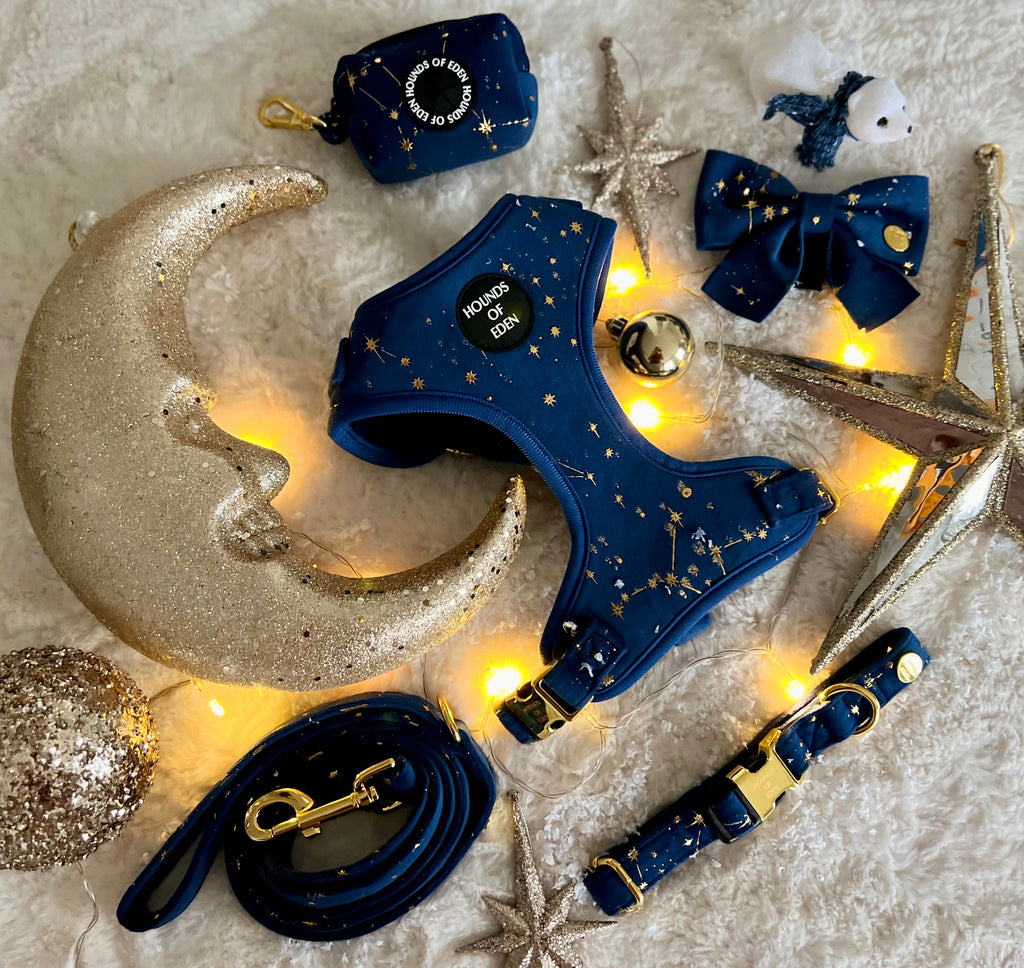 Sapphire Stars Velvet Collar