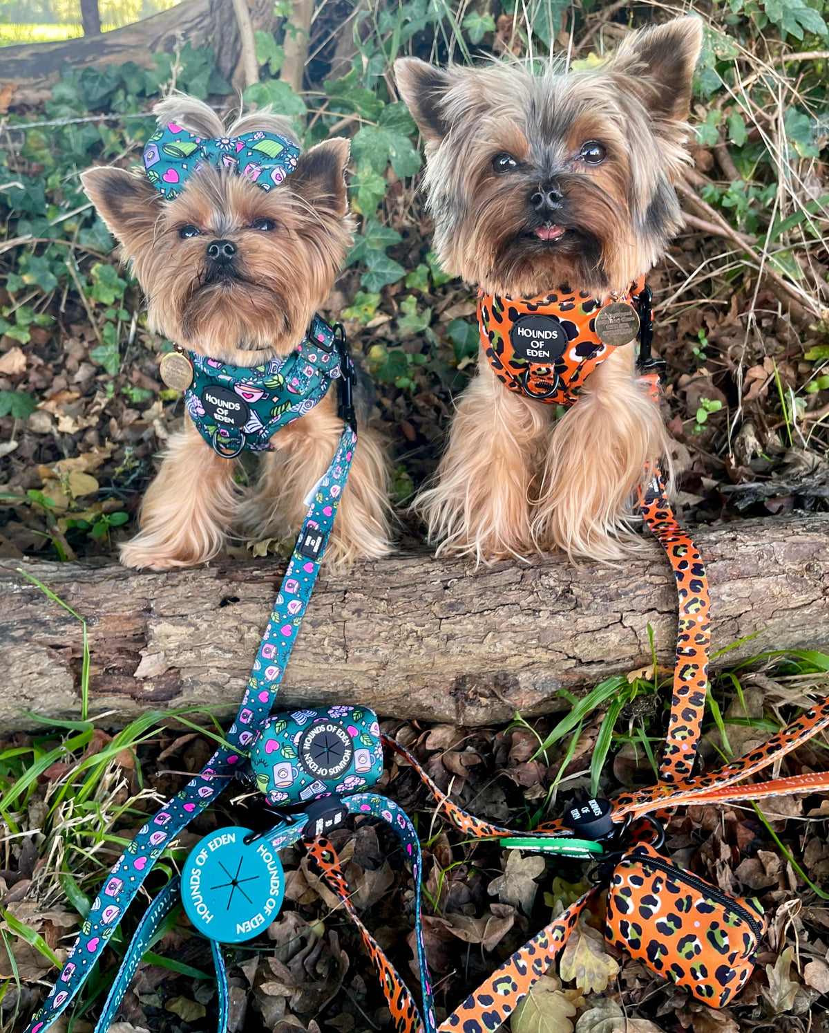 Self Care Design Dog Collar