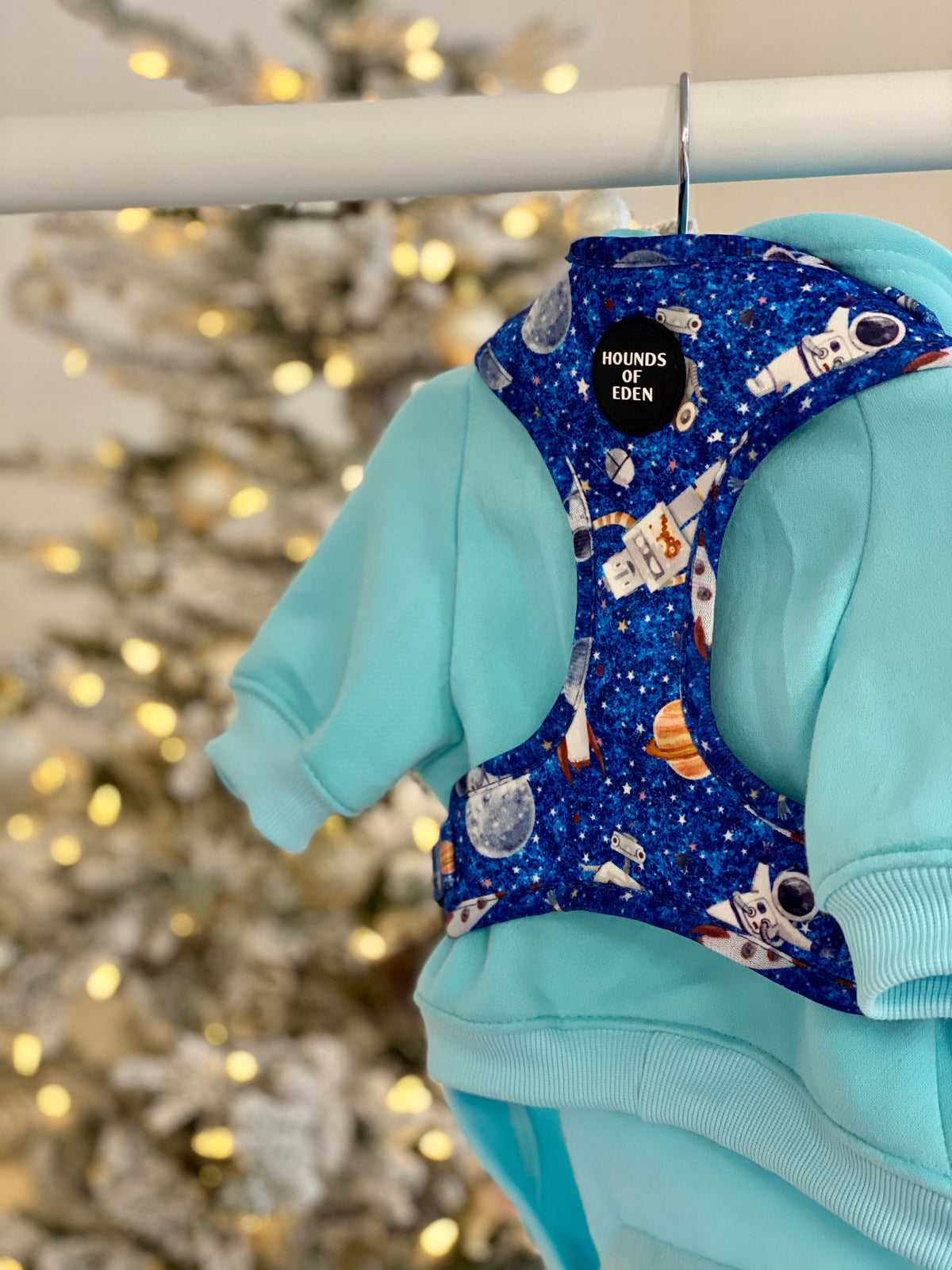 Light Teal Dog Hoodie with Fleece Lining