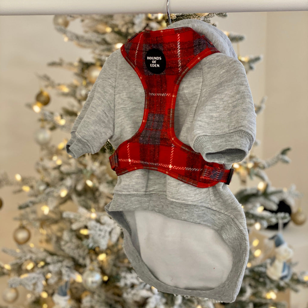 Grey Fleece-Lined Dog Hoodie | Hounds of Eden