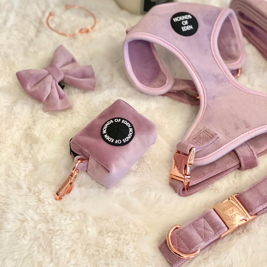 Lilac Dreams Velvet Dog Harness with Rose-Gold Hardware