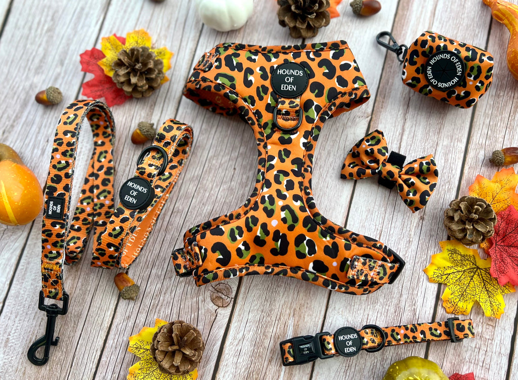 Burnt Orange Leopard Design Dog Harness