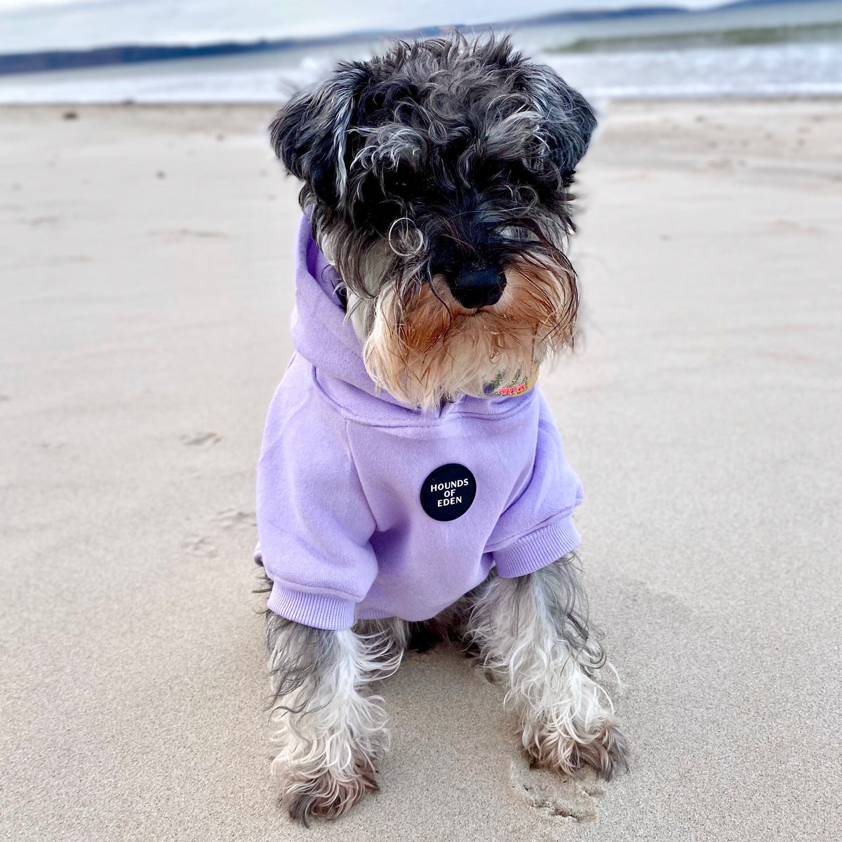 Light Teal Dog Hoodie with Fleece Lining