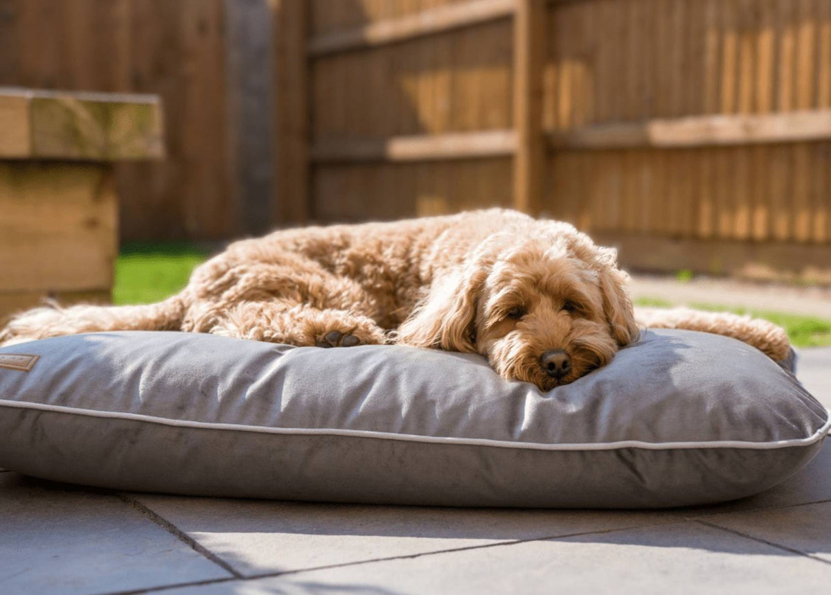 Ralph & Co Orthopaedic Memory Foam Dog Crate Bed