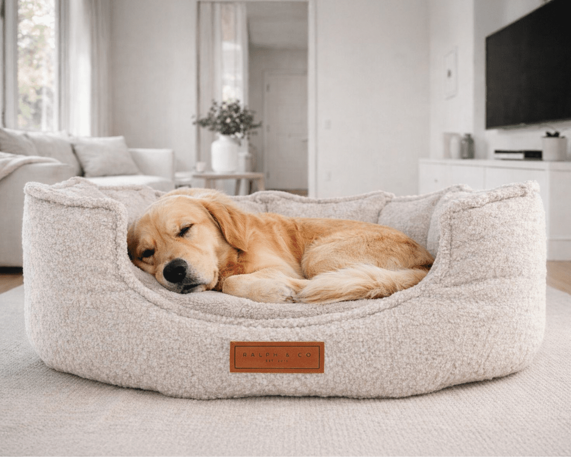 The Cotswold Luxury Bouclé Dog Bed 🐾