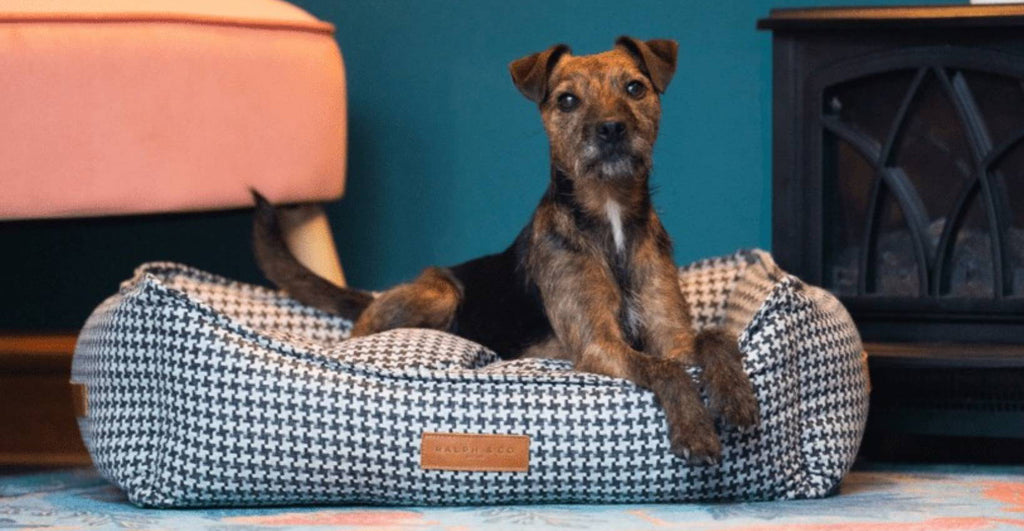 The Kensington Houndstooth Bolster Dog Bed