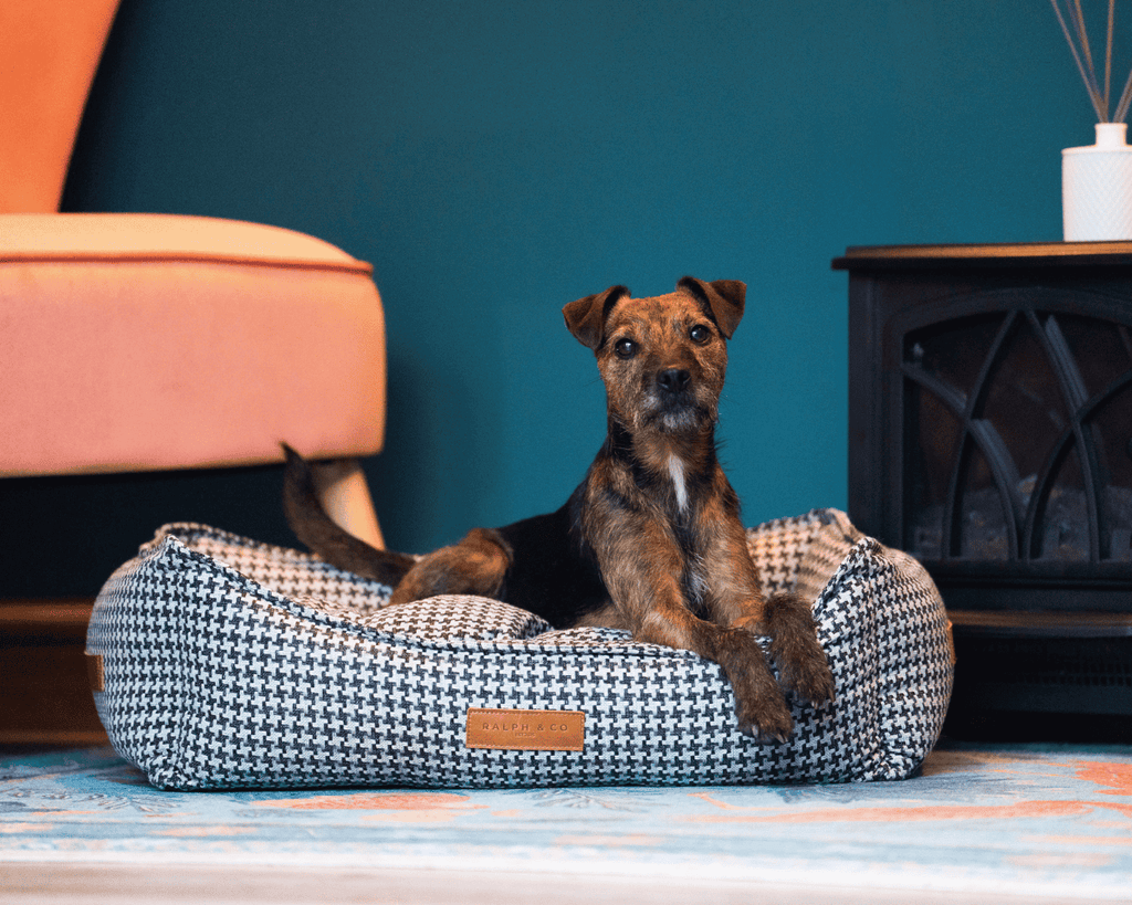 The Kensington Houndstooth Bolster Dog Bed