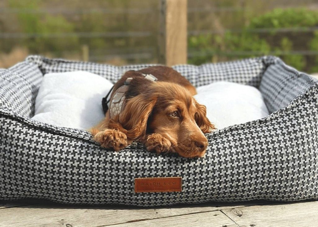 The Kensington Houndstooth Bolster Dog Bed