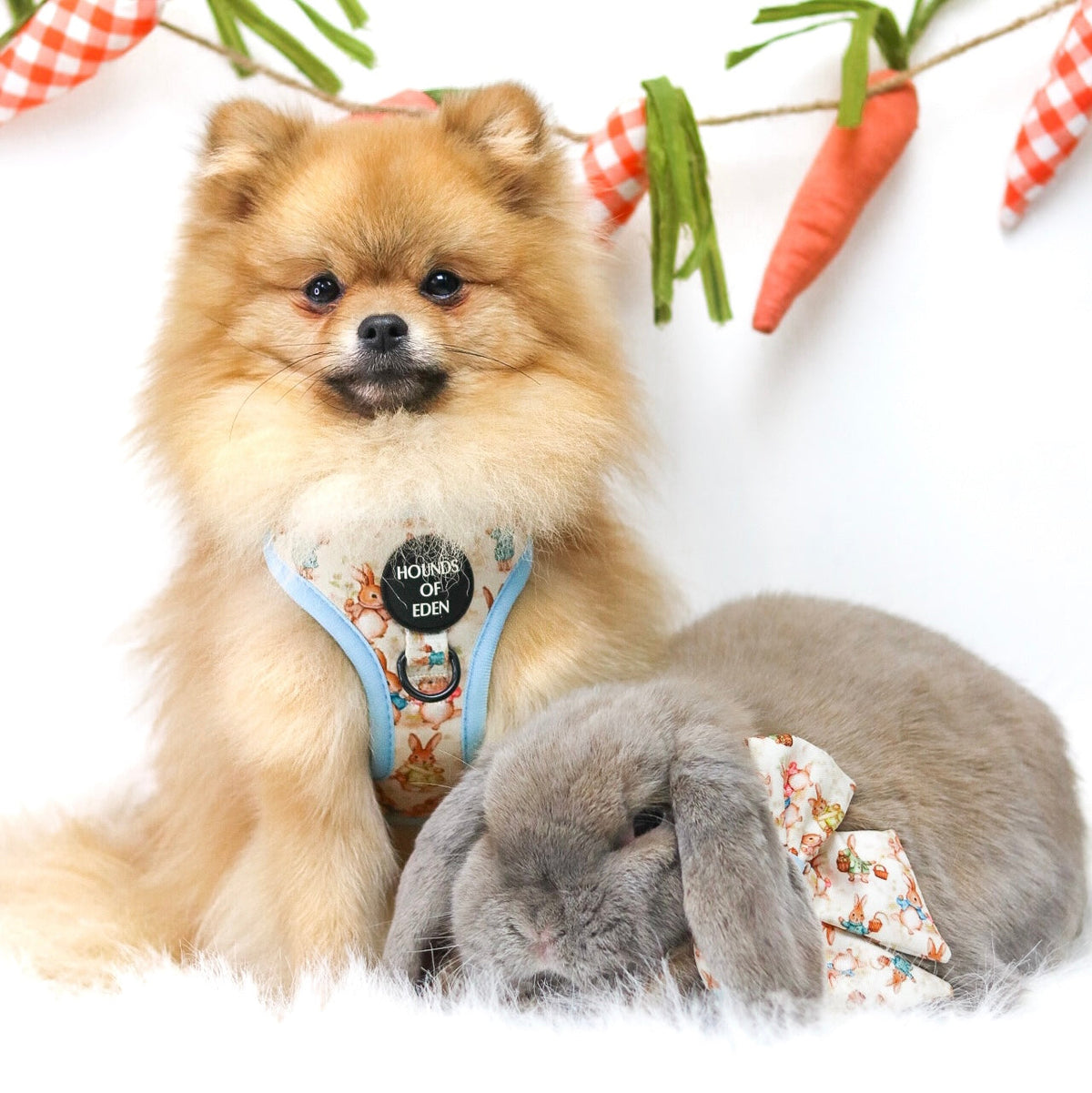 Bunny Tales - Blue, Dog Harness (XXS-XS)