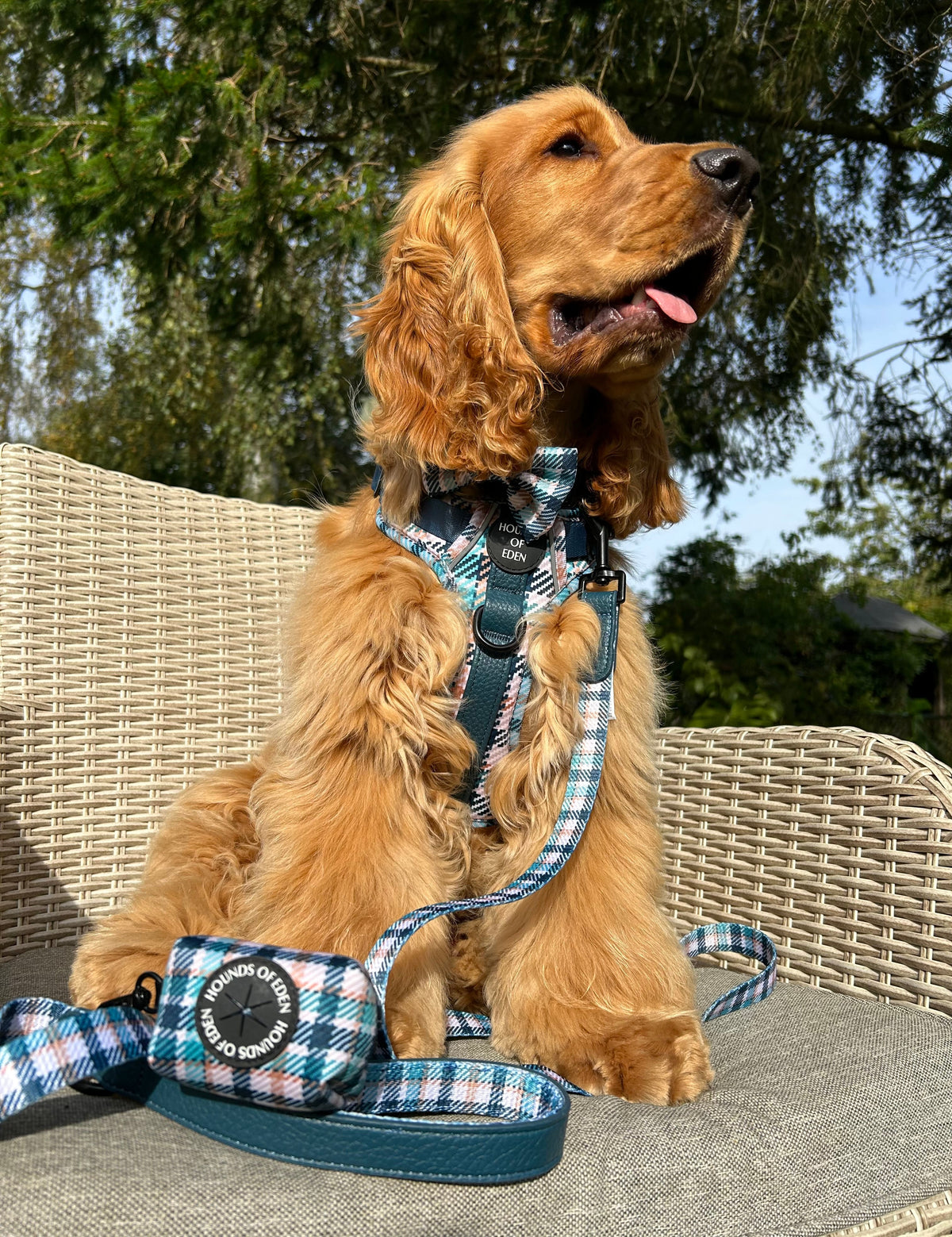 Tealing Smart Design Dog Bow Tie