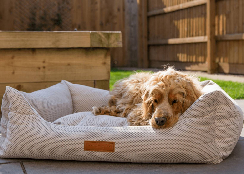 The Chatsworth Memory Foam Bolster Dog Bed