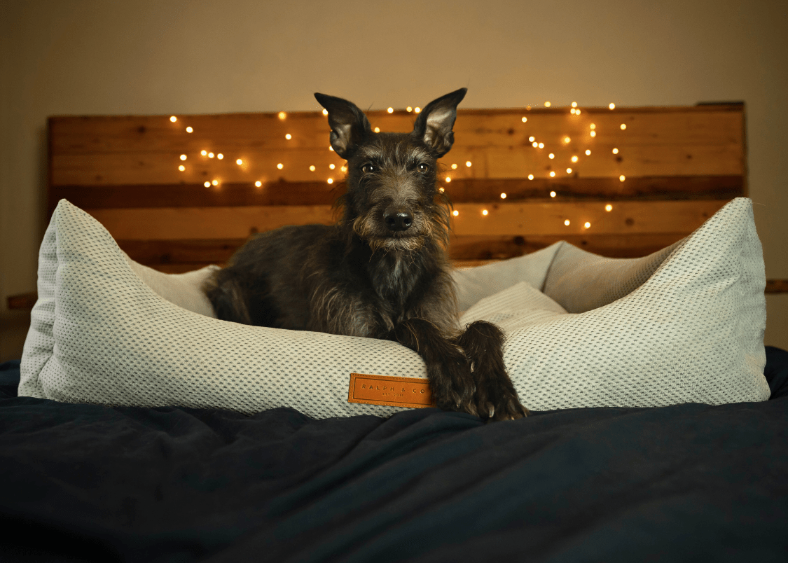 The Highclere Memory Foam Bolster Dog Bed