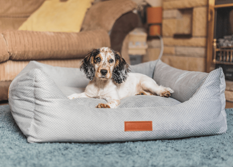 The Highclere Memory Foam Bolster Dog Bed