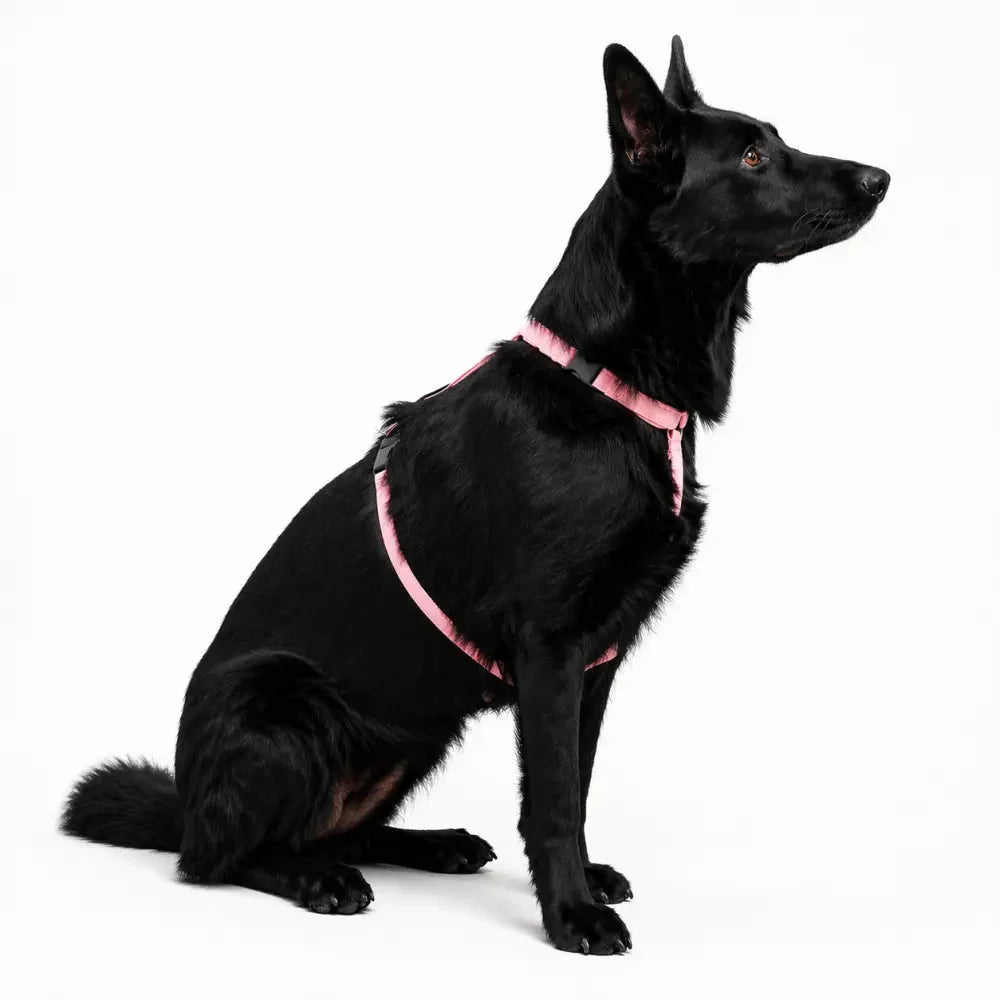 Padded Strap Waterproof Step-In Dog Harness