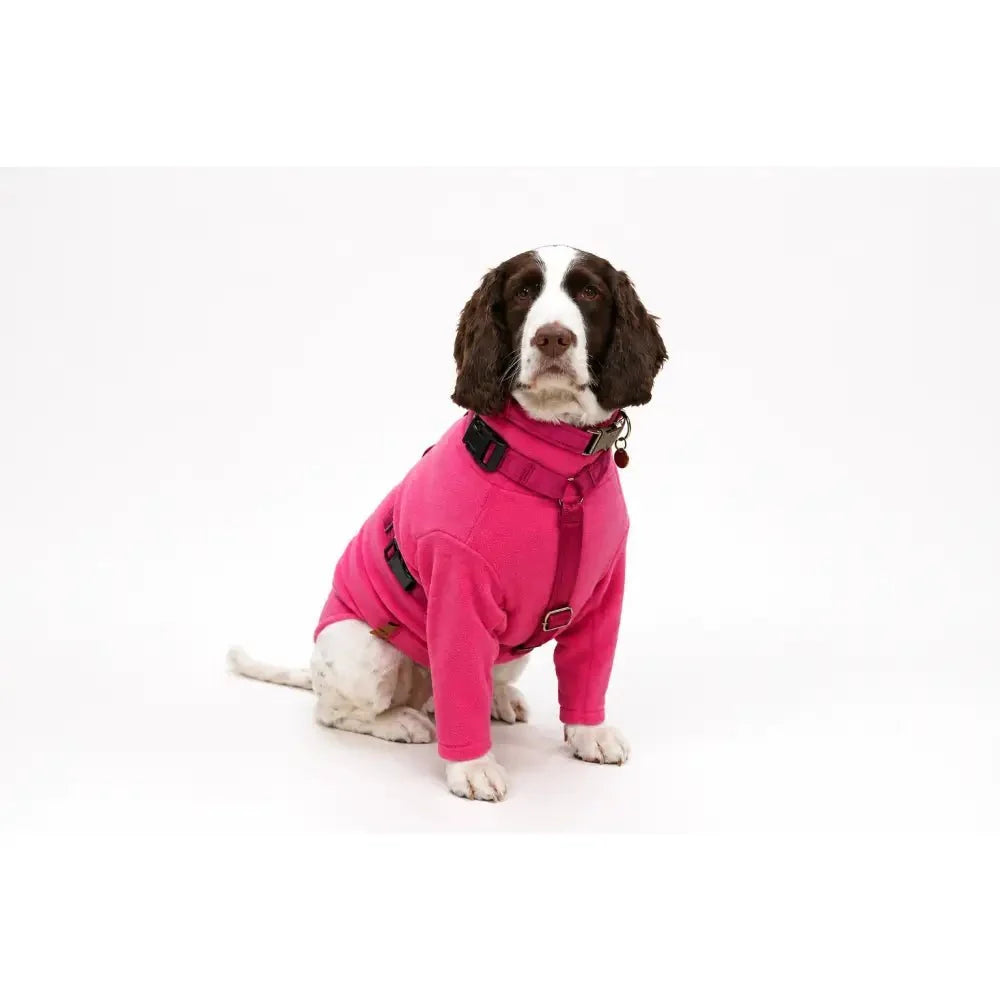 Padded Strap Waterproof Step-In Dog Harness