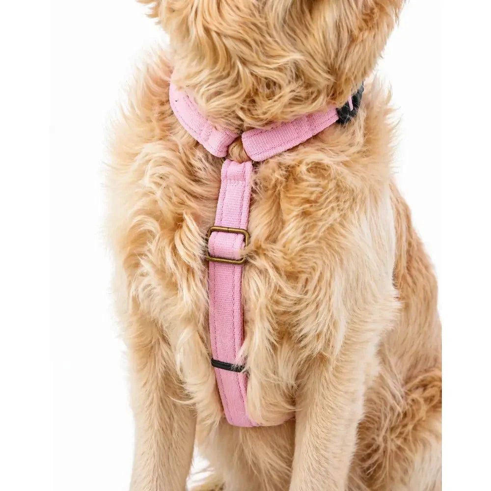 Padded Strap Waterproof Step-In Dog Harness