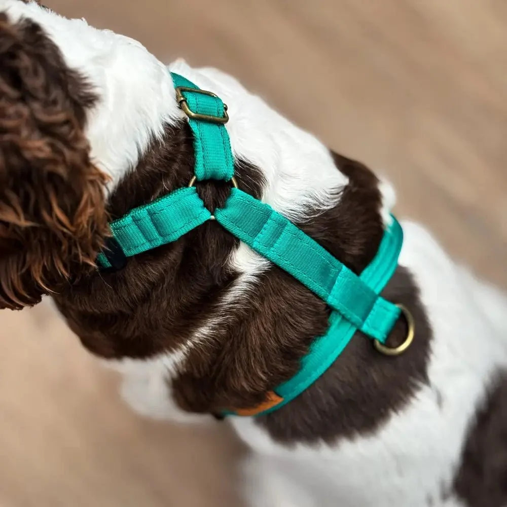 Padded Strap Waterproof Step-In Dog Harness